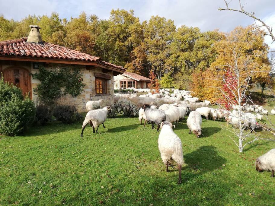 Guikuri Octogono Casa Rural 1, 2 Y 3Pax Villa Murua Luaran gambar